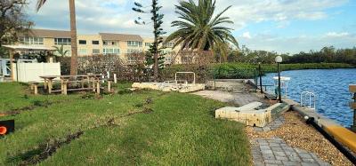 Kayak Launch on Lawn