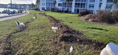 High Water Mark Along Bay